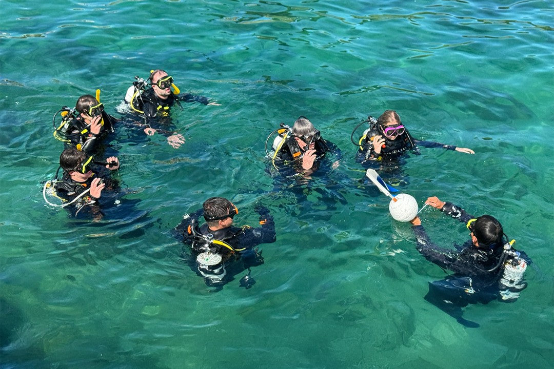 How to Prepare for Your Open Water Course in Melbourne