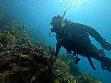 What to Expect in Your First Melbourne Open Water Course