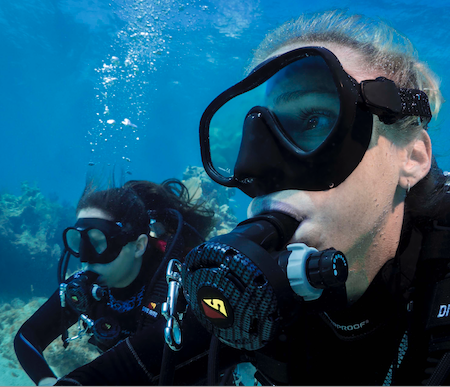 Beginner-friendly scuba diving sites around Melbourne