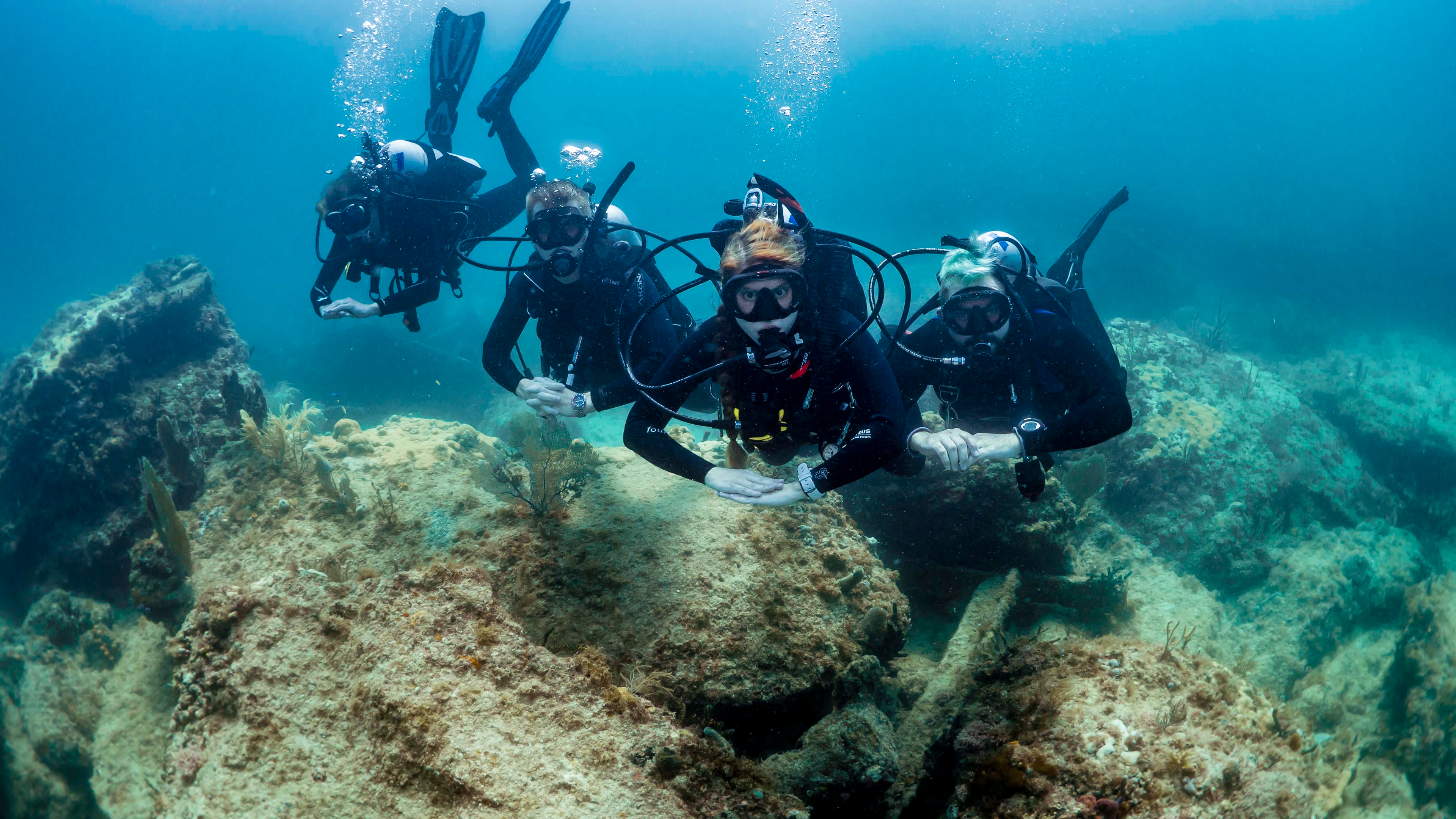 Learn to Dive Courses