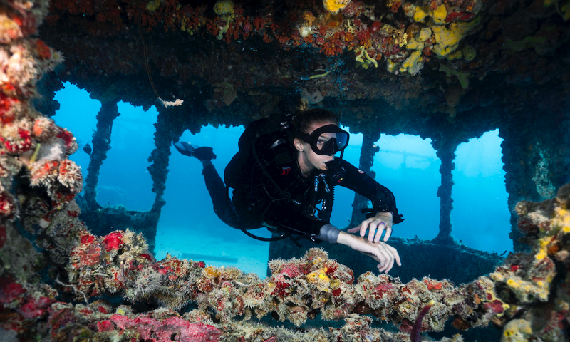 Continue your Diving