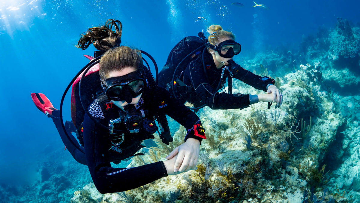 Scuba and Free Diving Courses in Melbourne, Victoria | Simple Dive ...
