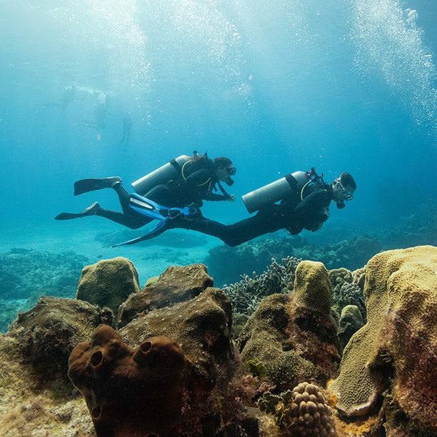 SDI Divemaster Course