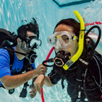 SDI scuba instructor course training graphic