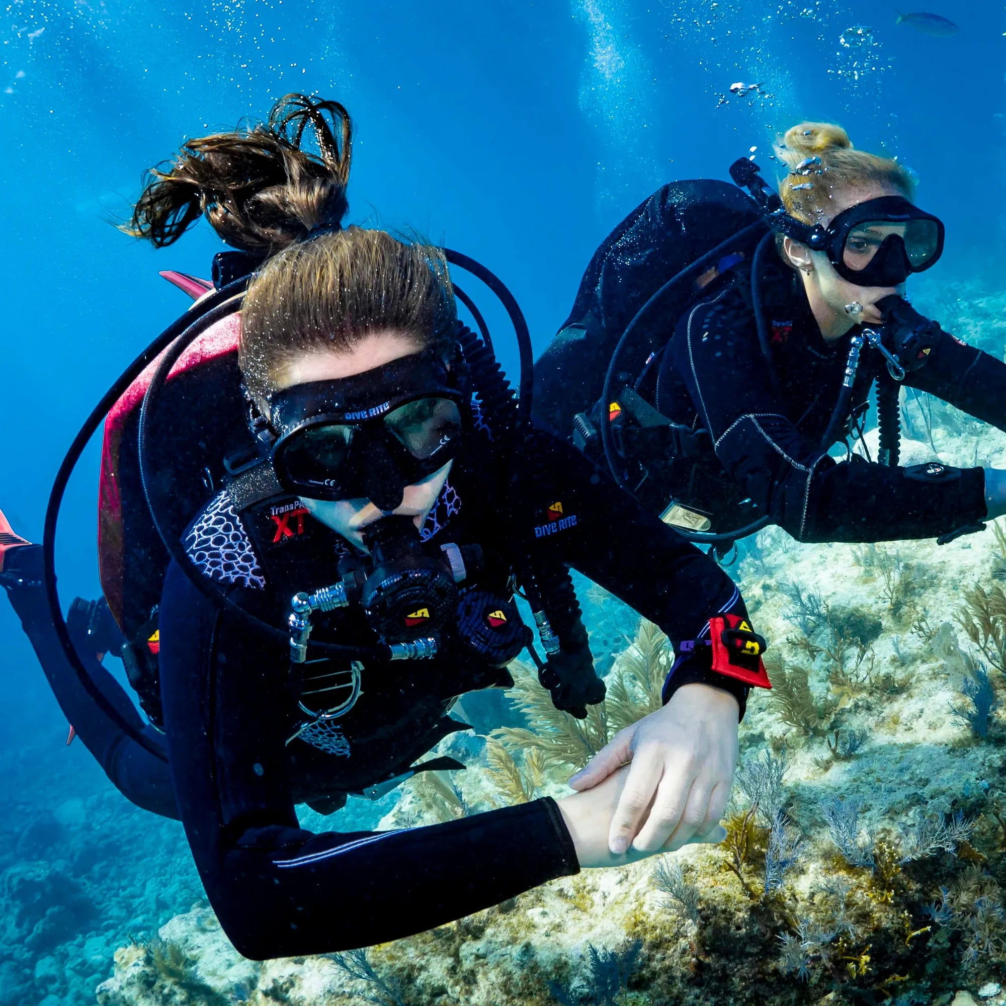 Scuba divers exploring during instructor training