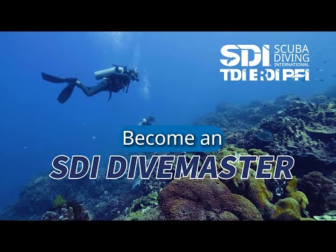 SDI Divemaster Course